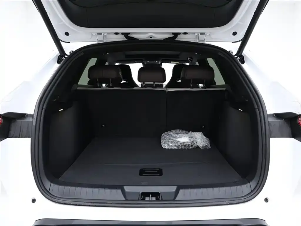 BYD PLUS New Energy 2025 из CN, фото 6