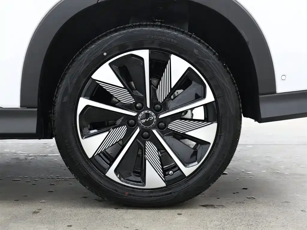 BYD PLUS New Energy 2025 из CN, фото 10