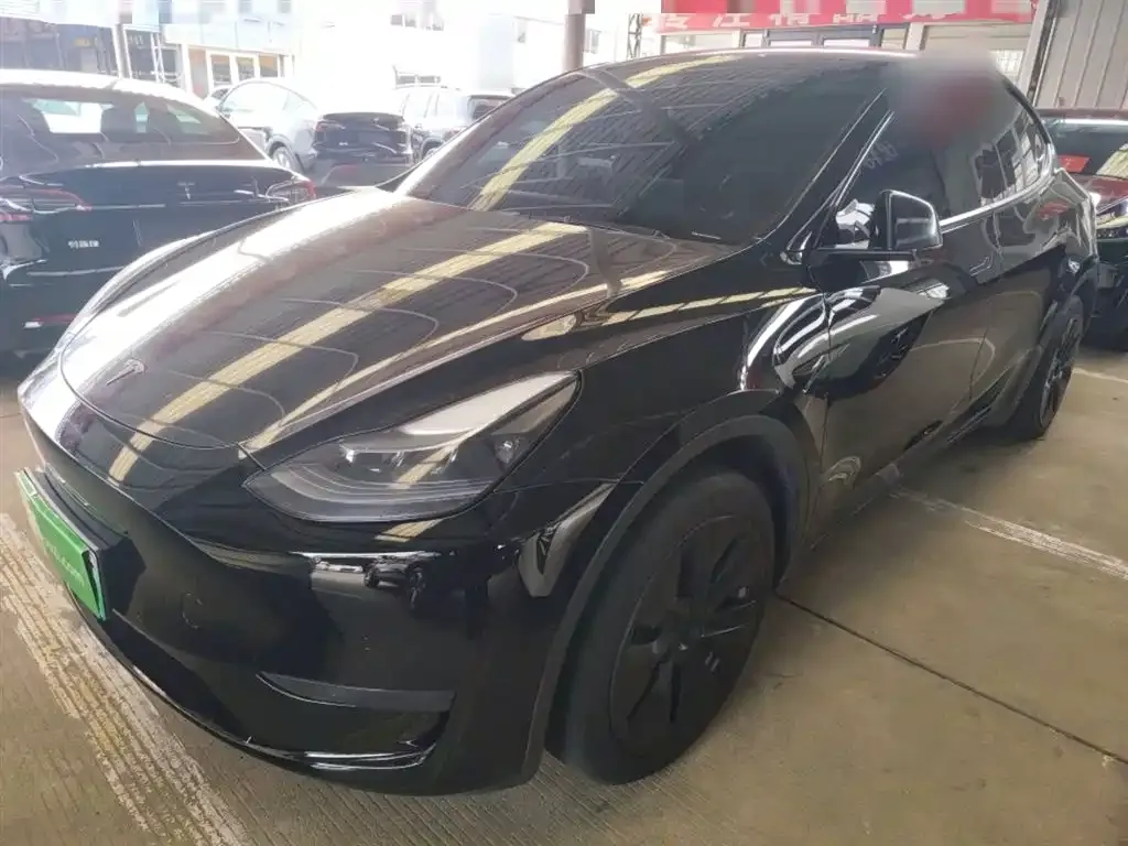 Tesla Model Y 2023 из CN, фото 4
