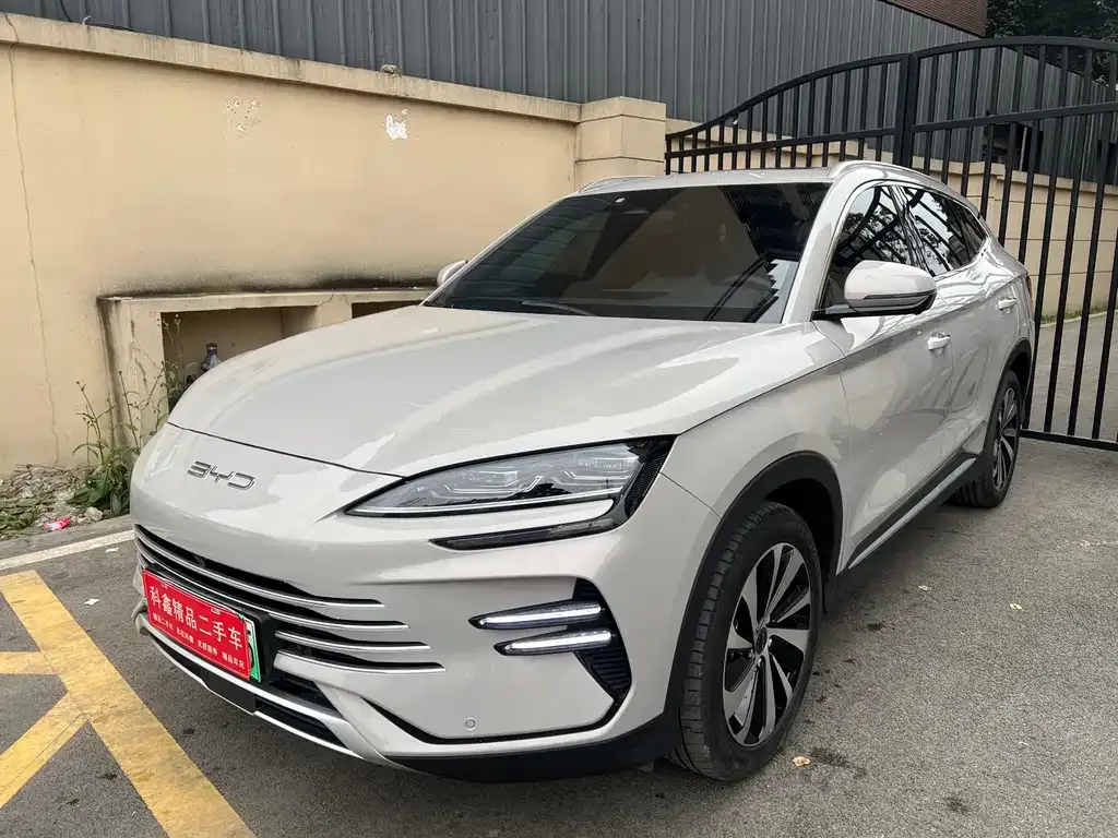 BYD PLUS New Energy 2023 из CN, фото 1