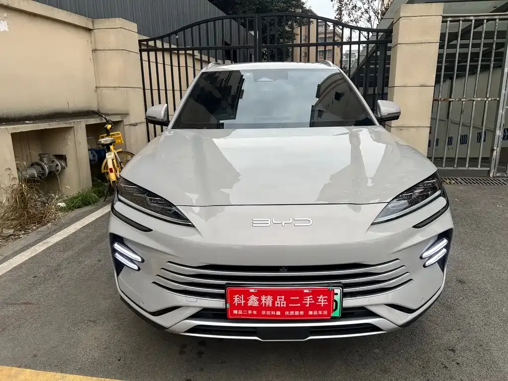 BYD PLUS New Energy 2023 из CN, фото 5