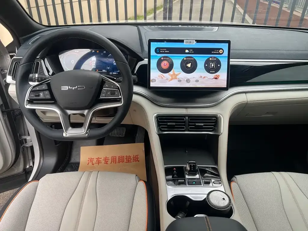 BYD PLUS New Energy 2023 из CN, фото 4