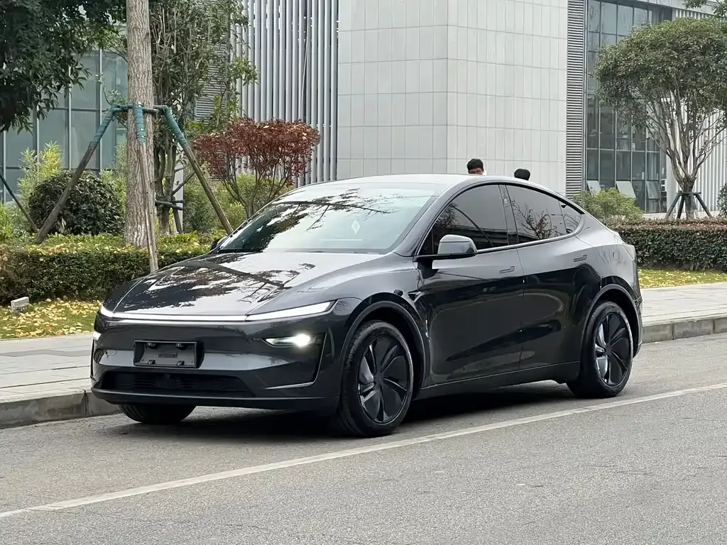 Tesla Model Y 2025 из CN, фото 1