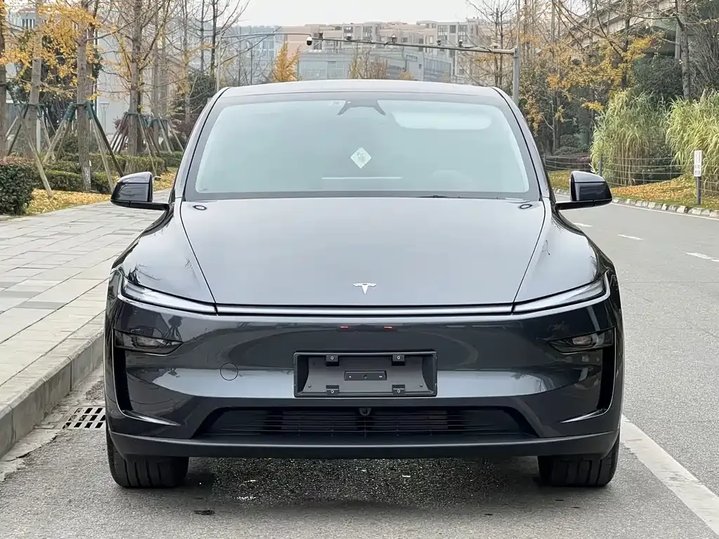 Tesla Model Y 2025 из CN, фото 6