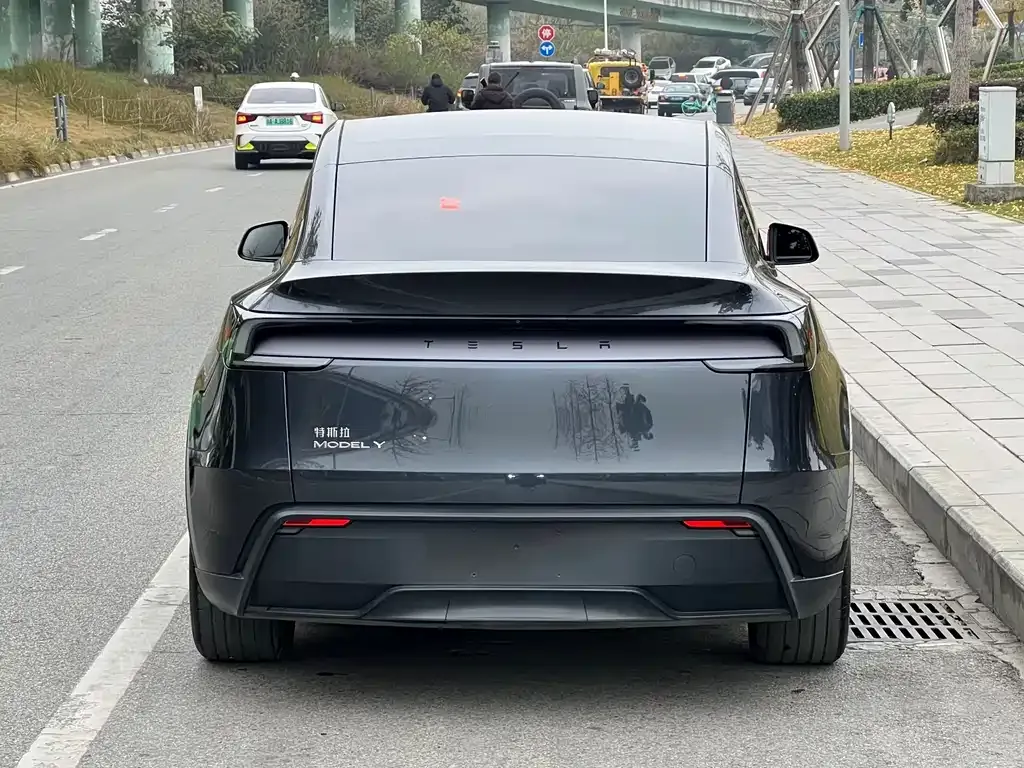 Tesla Model Y 2025 из CN, фото 9