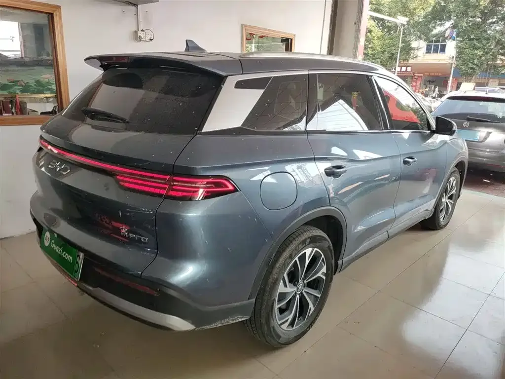 BYD Pro New Energy 2025 из CN, фото 9