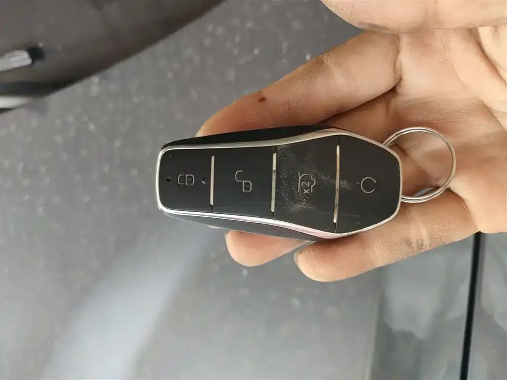 BYD Pro New Energy 2025 из CN, фото 2