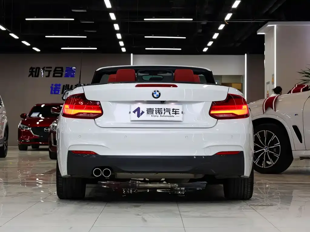 BMW 2 Series (Import) 2021 из CN, фото 4