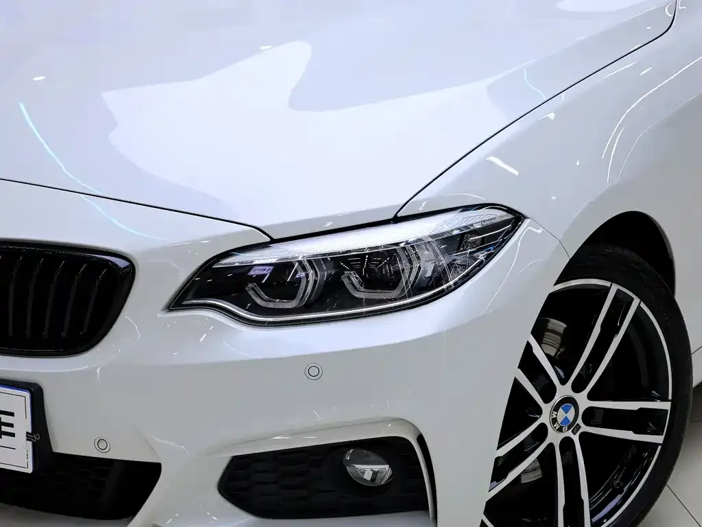 BMW 2 Series (Import) 2021 из CN, фото 10