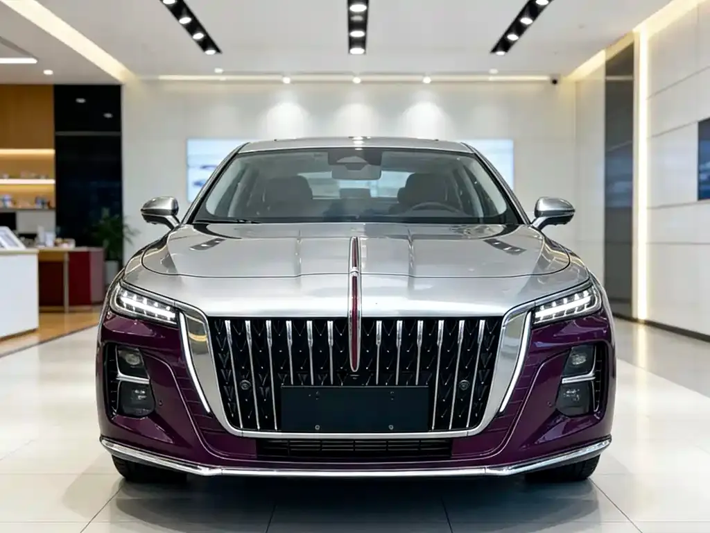 Hongqi H5 2023 из CN, фото 5