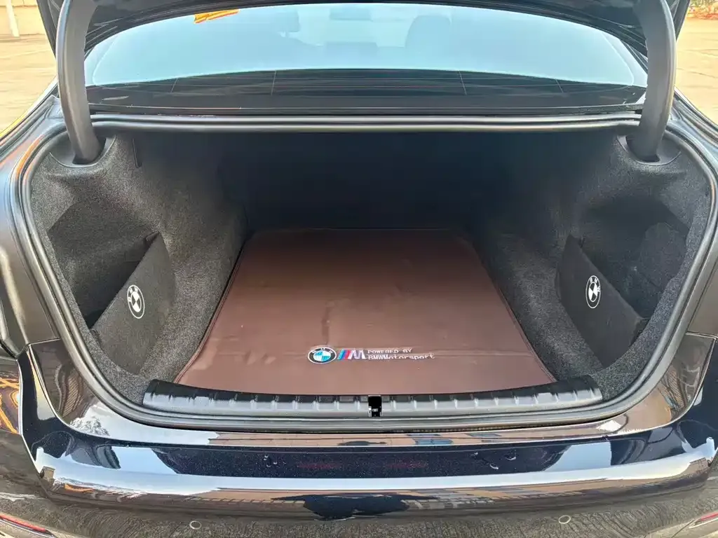 BMW 5 Series 2023 из CN, фото 3