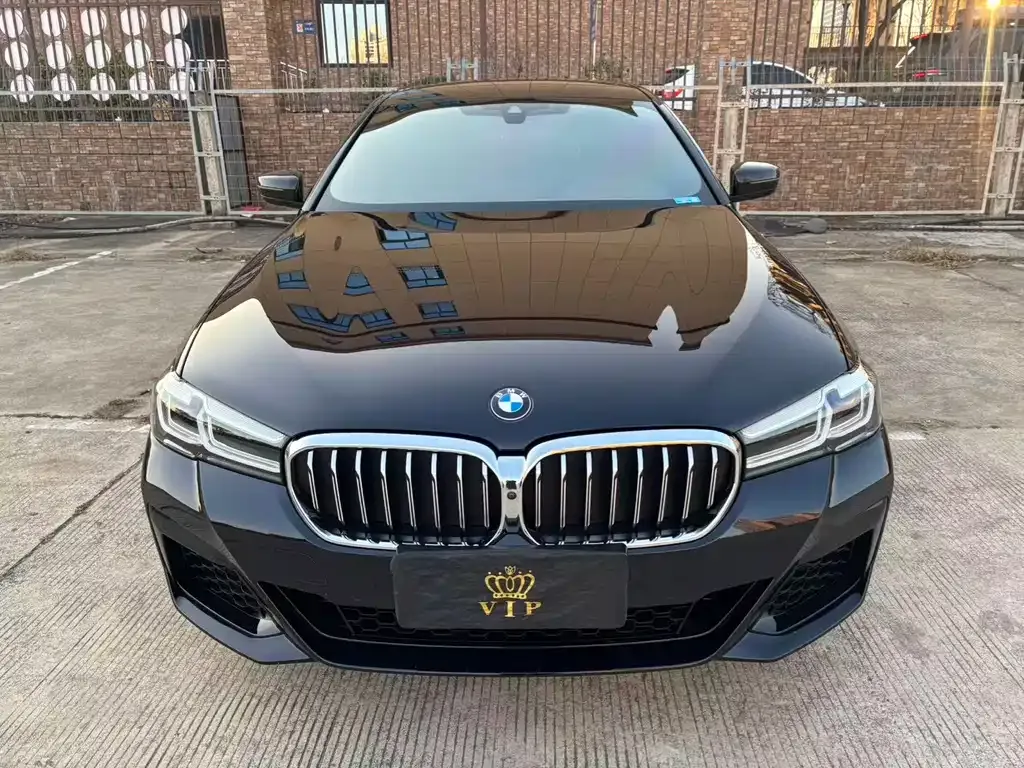 BMW 5 Series 2023 из CN, фото 8