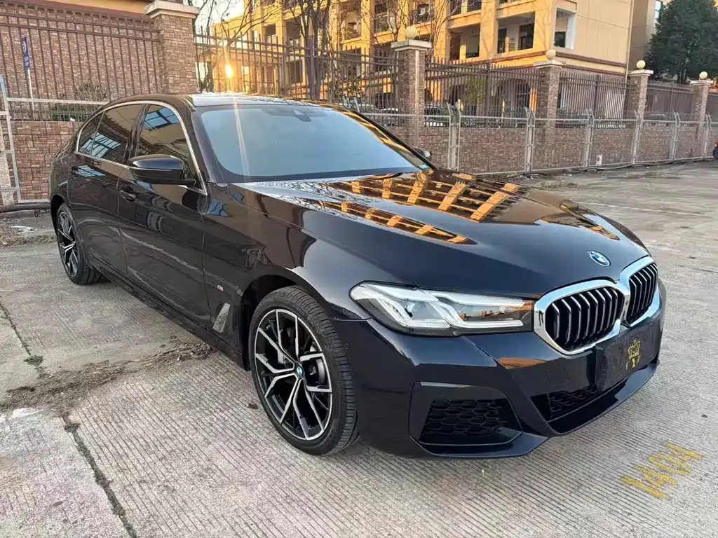 BMW 5 Series 2023 из CN, фото 10