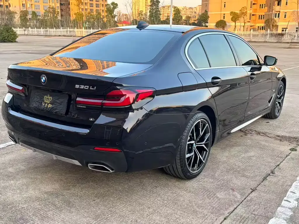 BMW 5 Series 2023 из CN, фото 7