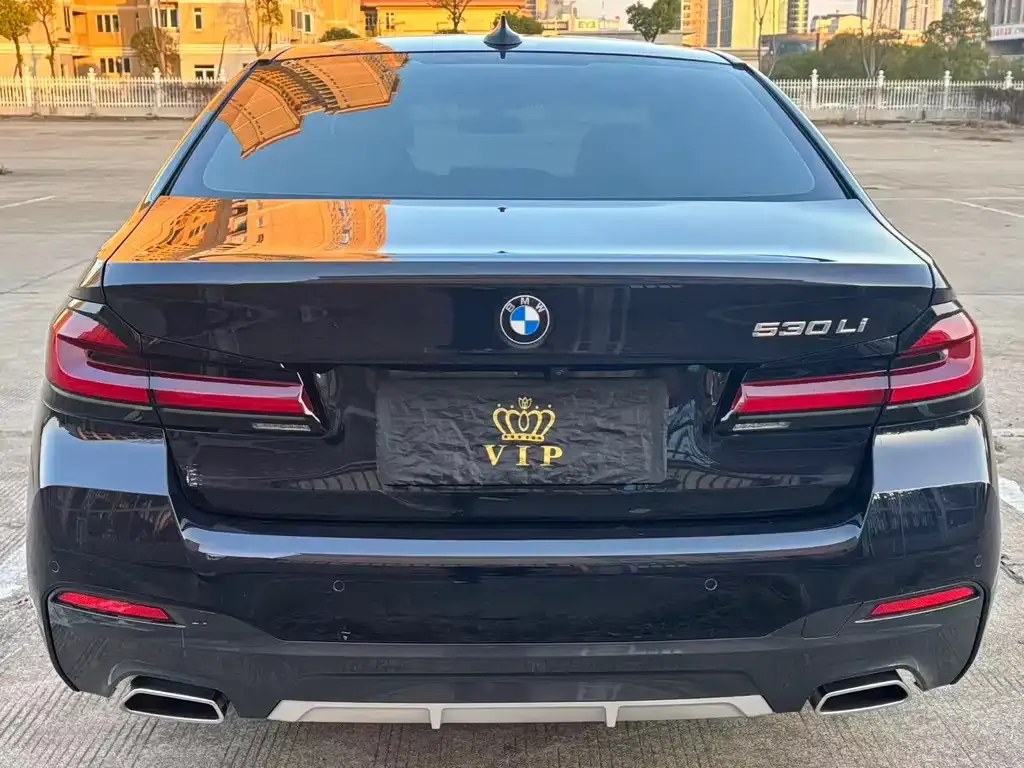 BMW 5 Series 2023 из CN, фото 6