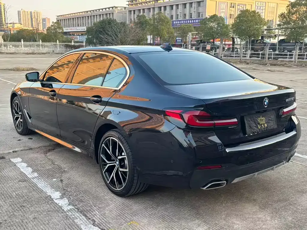 BMW 5 Series 2023 из CN, фото 9