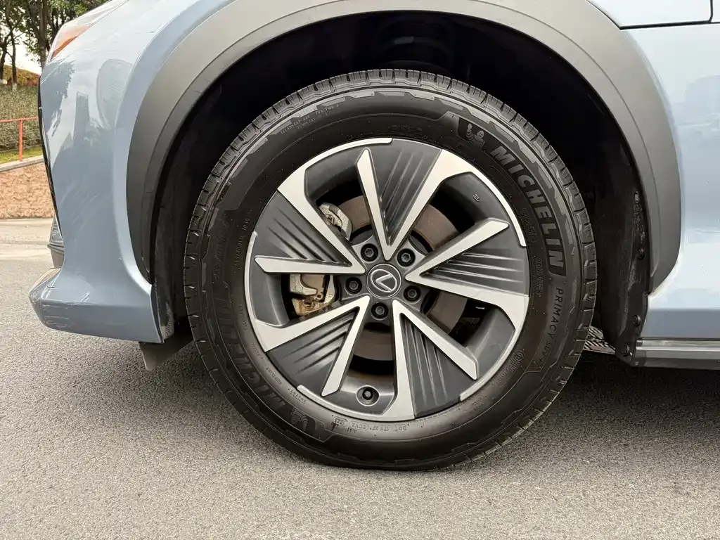 Lexus RZ 2023 из CN, фото 9