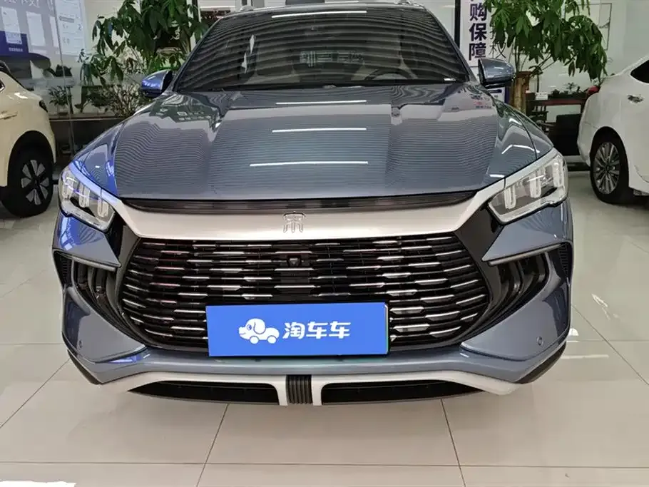 BYD Pro New Energy 2024 из CN, фото 10