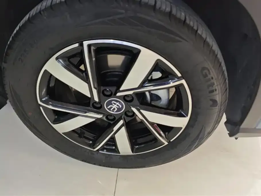 BYD Pro New Energy 2024 из CN, фото 6