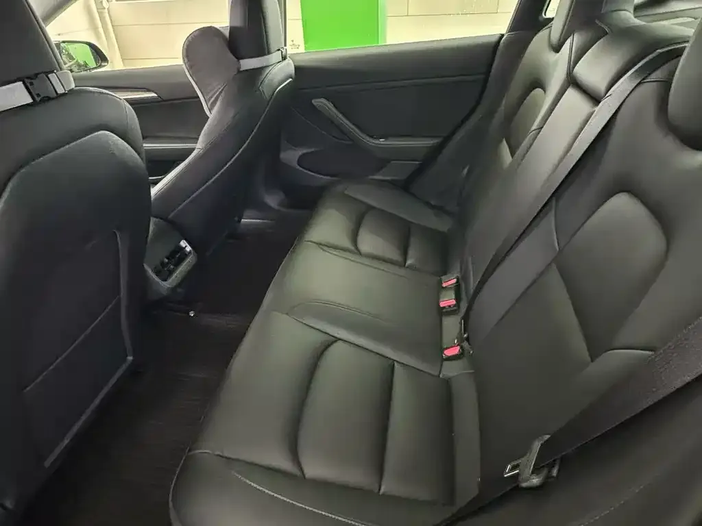 Tesla Model 3 2021 из CN, фото 2