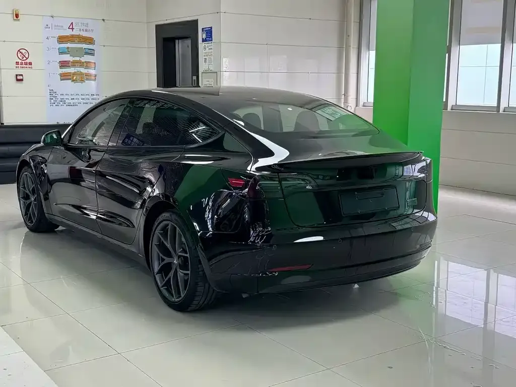 Tesla Model 3 2021 из CN, фото 3