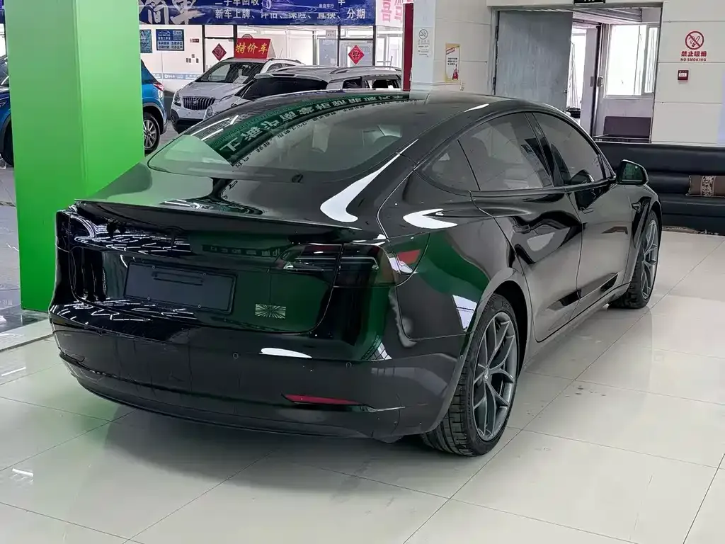 Tesla Model 3 2021 из CN, фото 6