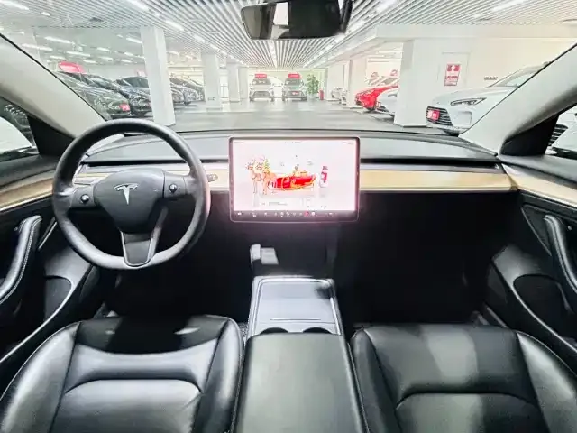 Tesla Model 3 2022 из CN, фото 6