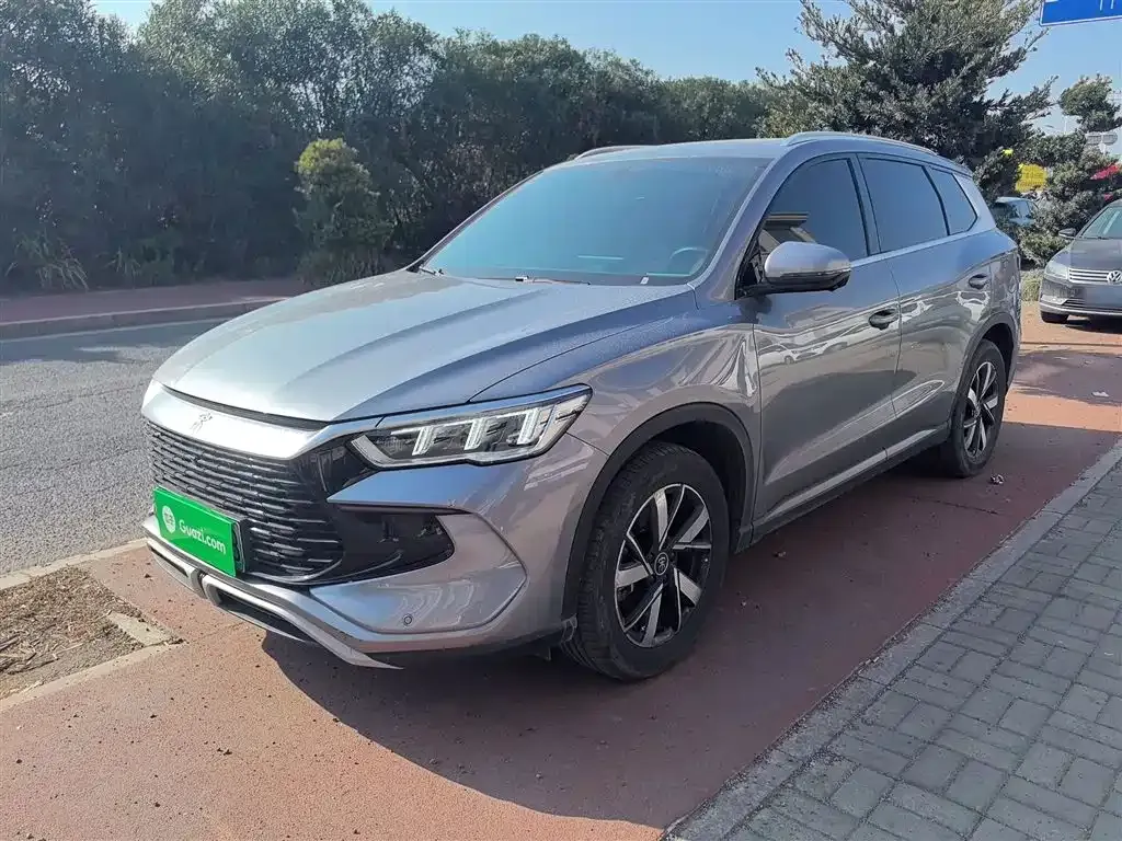 BYD Pro New Energy 2024 из CN, фото 1