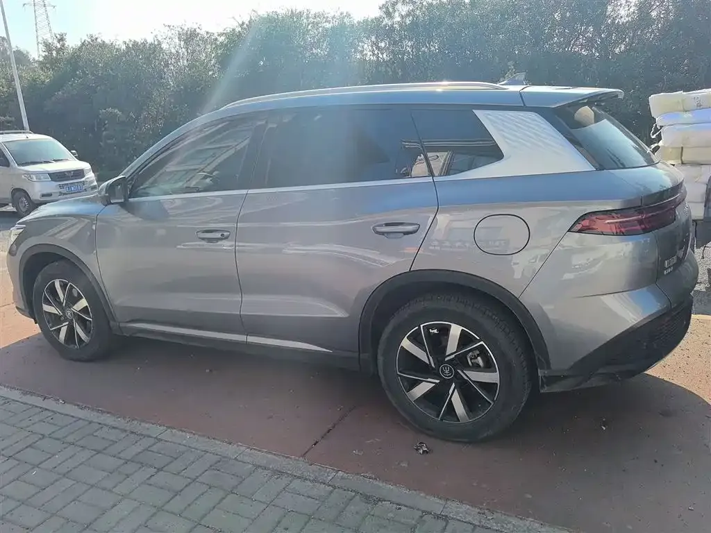 BYD Pro New Energy 2024 из CN, фото 5
