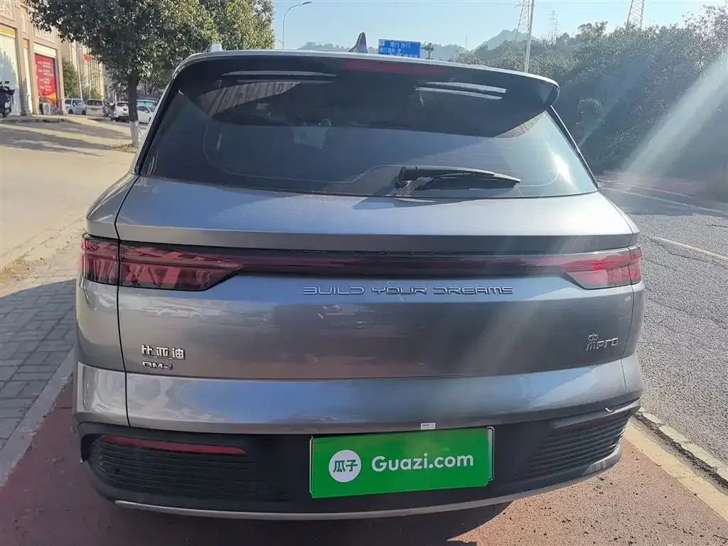 BYD Pro New Energy 2024 из CN, фото 6