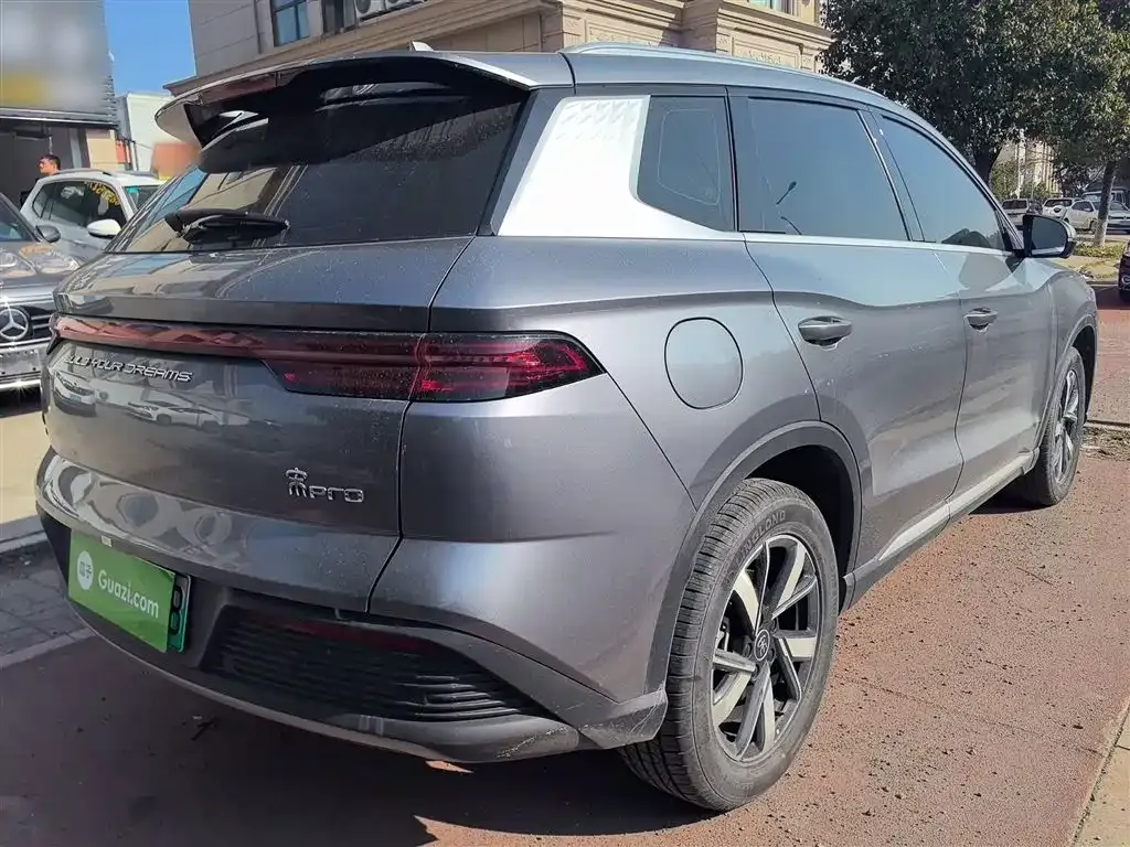 BYD Pro New Energy 2024 из CN, фото 7