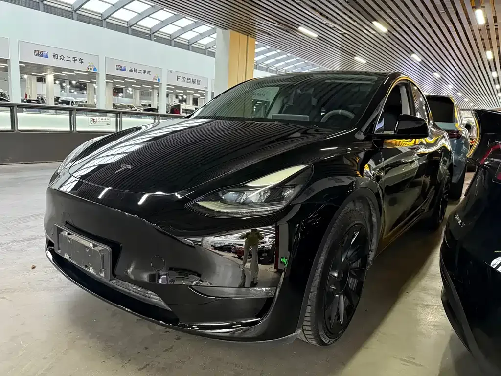 Tesla Model Y 2021 из CN, фото 1