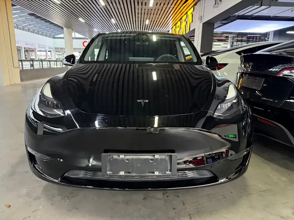 Tesla Model Y 2021 из CN, фото 9