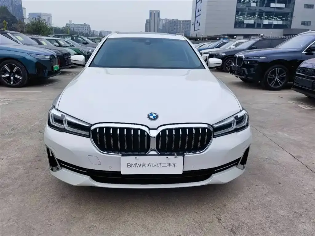 BMW 5 Series 2023 из CN, фото 2
