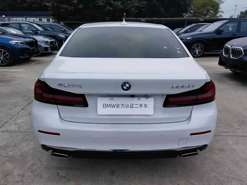 BMW 5 Series 2023 из CN, фото 3