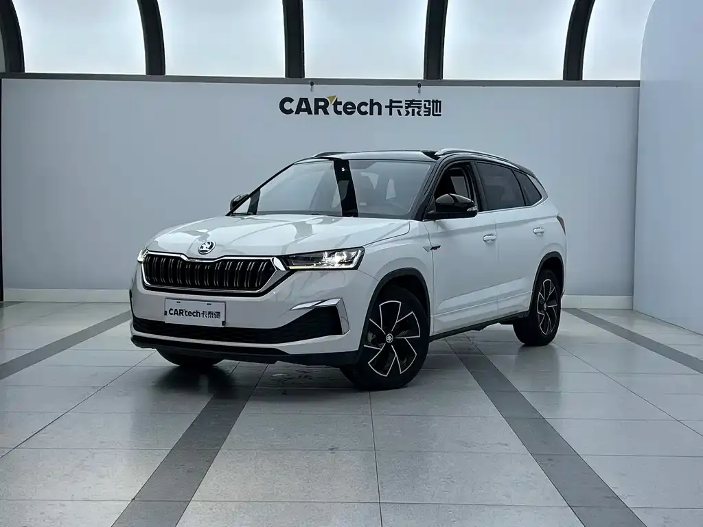 Skoda Kamiq 2023 из CN, фото 1