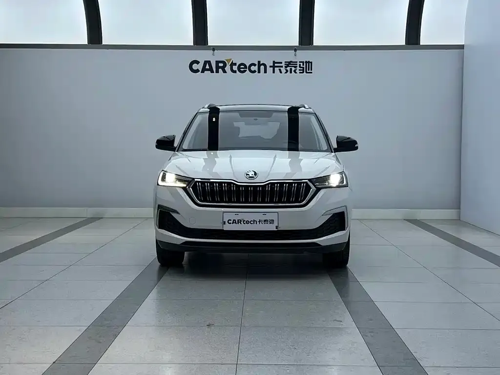Skoda Kamiq 2023 из CN, фото 8