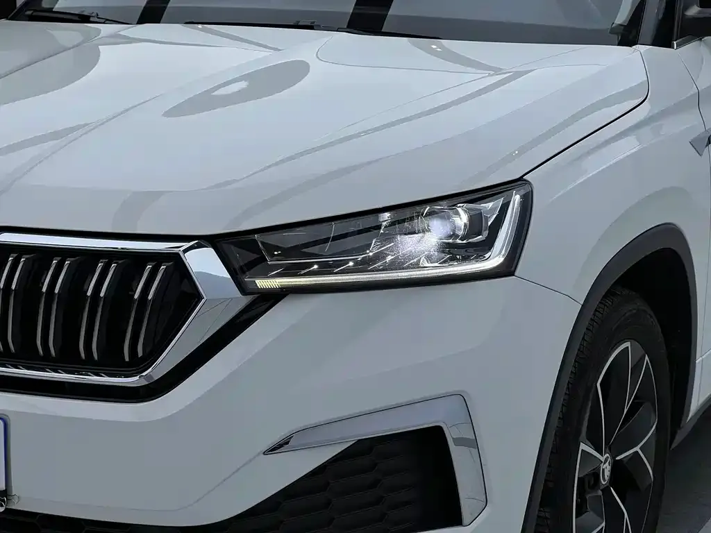 Skoda Kamiq 2023 из CN, фото 10