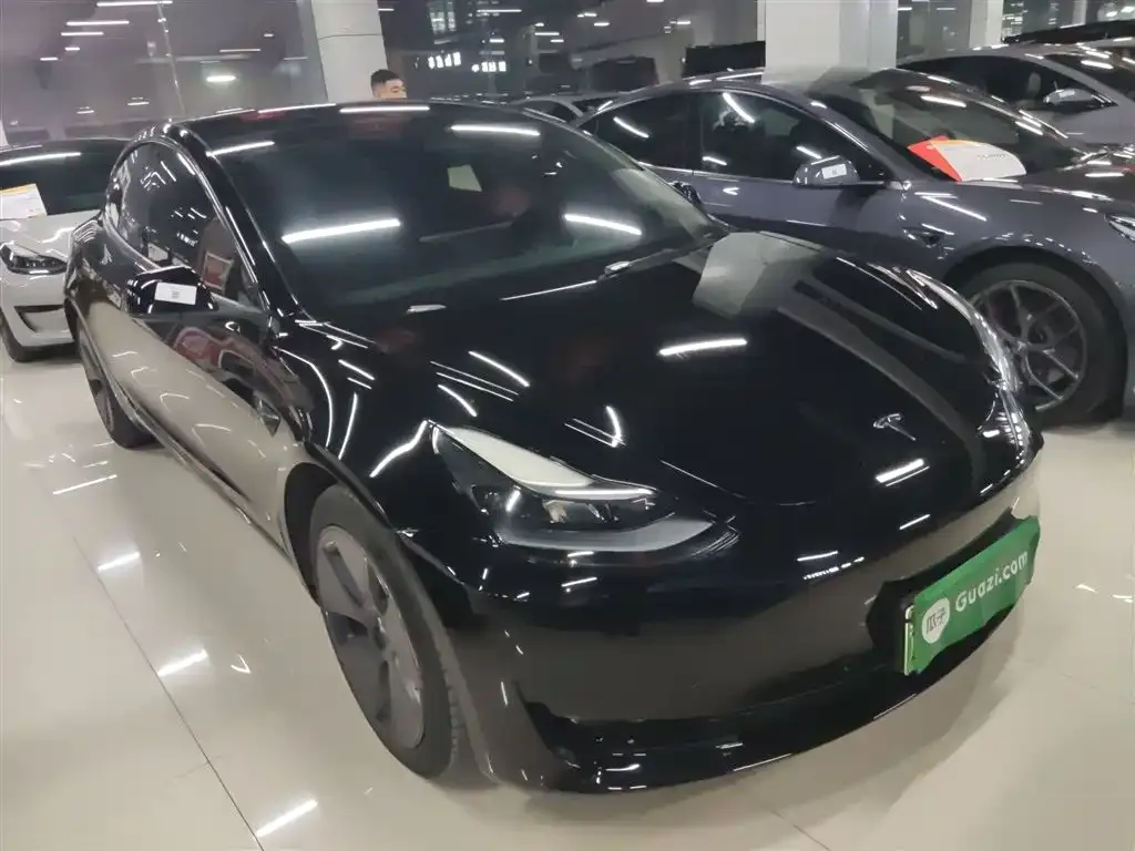 Tesla Model 3 2021 из CN, фото 6