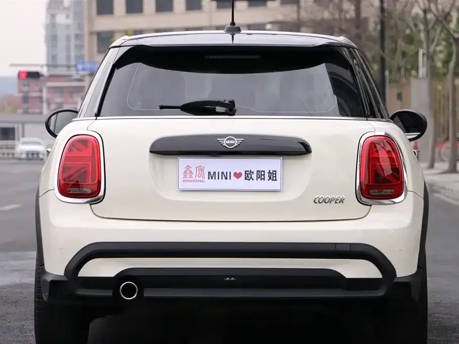 [object Object] Mini 2022 из CN, фото 5