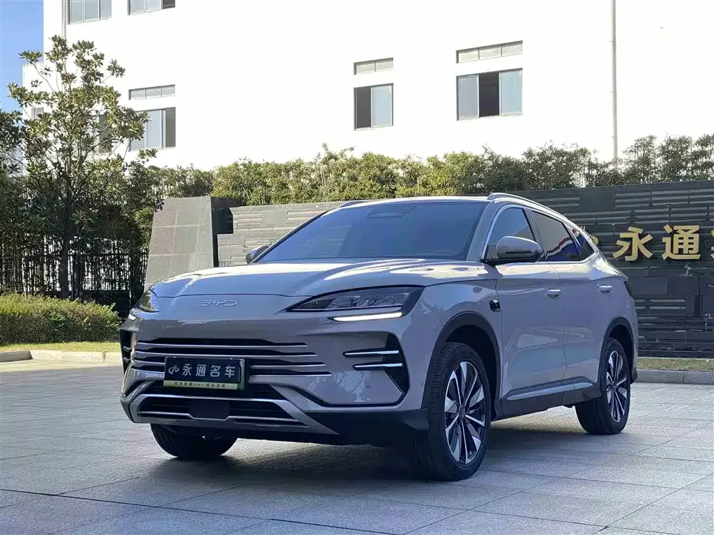 BYD PLUS New Energy 2025 из CN, фото 1