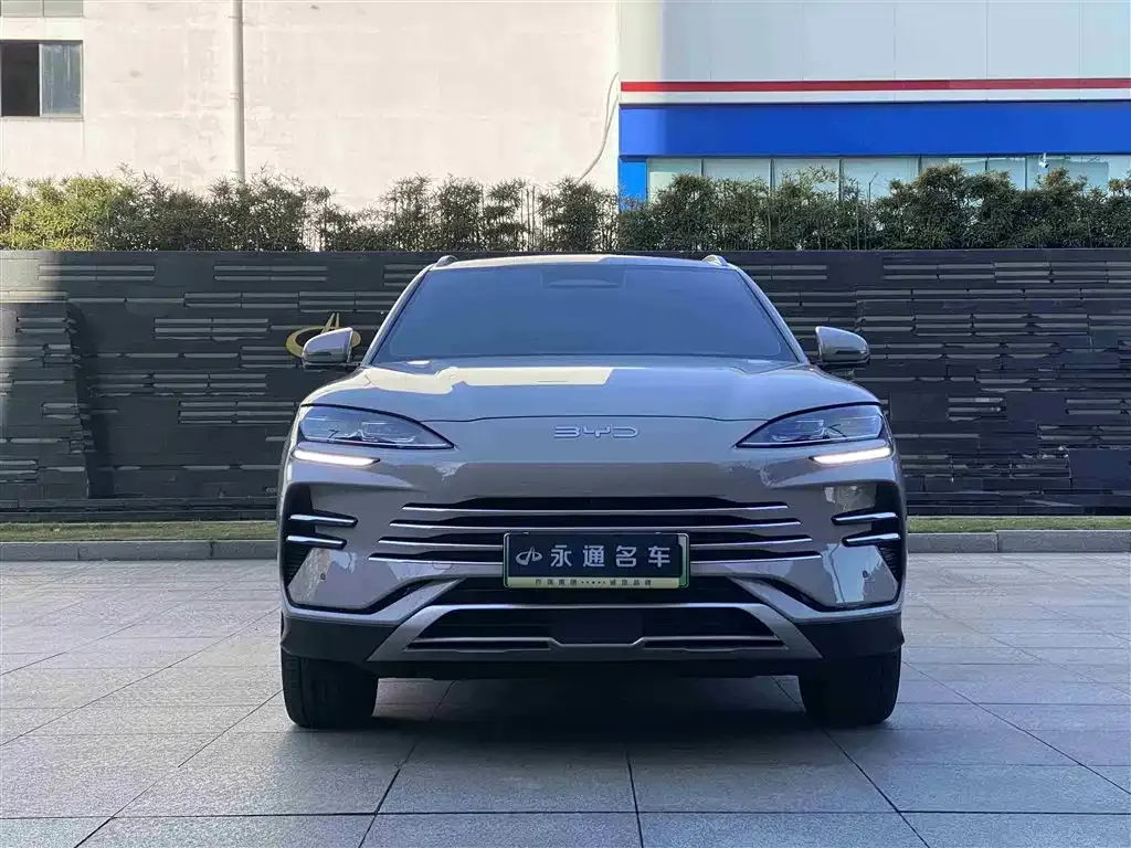 BYD PLUS New Energy 2025 из CN, фото 2
