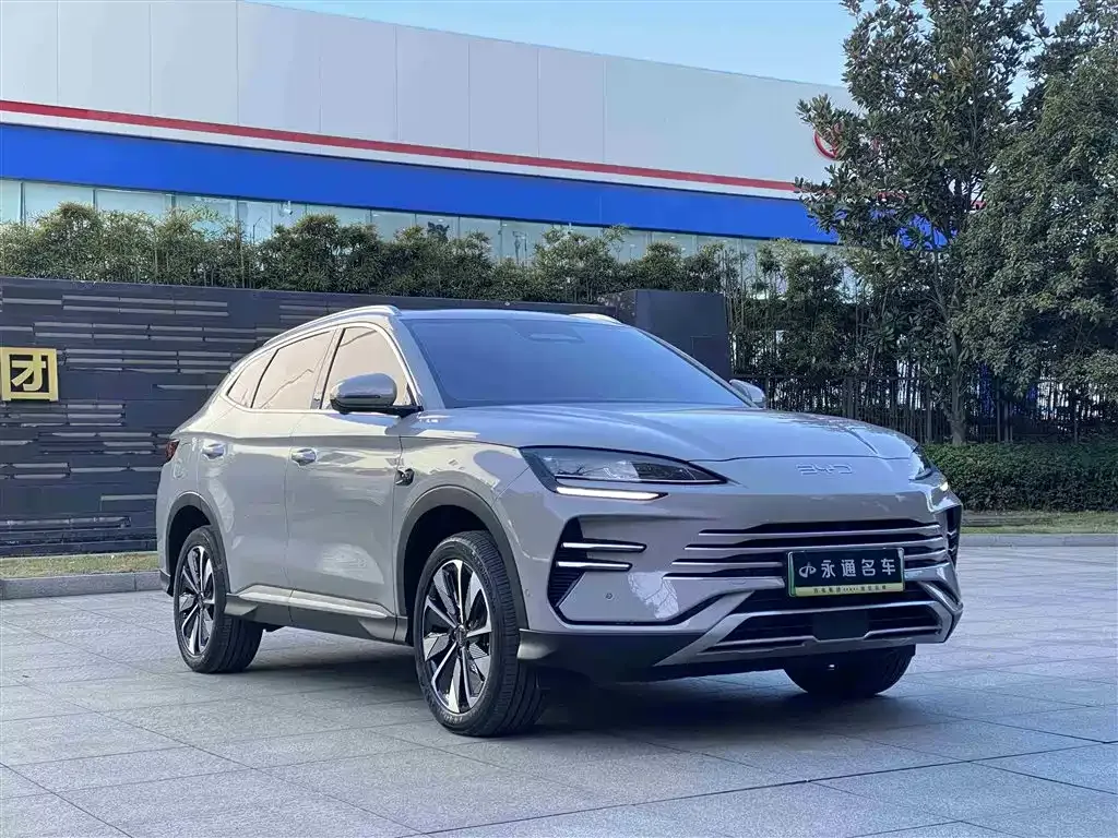 BYD PLUS New Energy 2025 из CN, фото 3