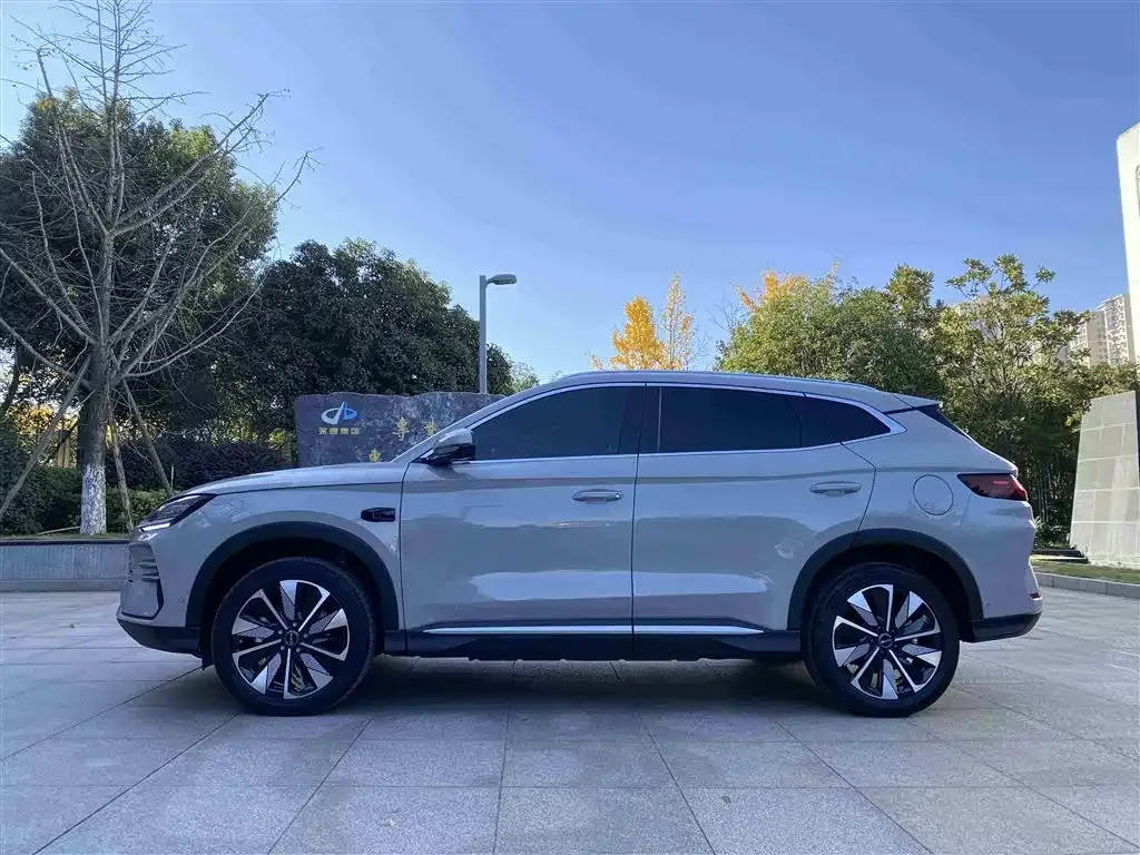 BYD PLUS New Energy 2025 из CN, фото 4