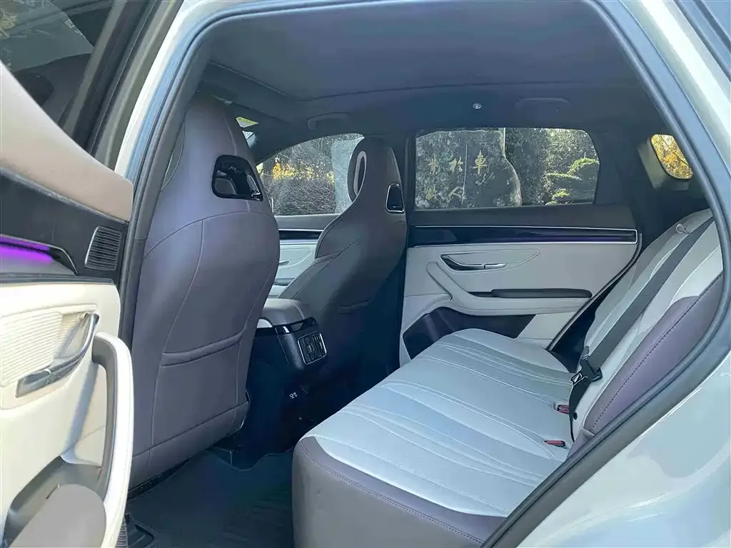 BYD PLUS New Energy 2025 из CN, фото 6