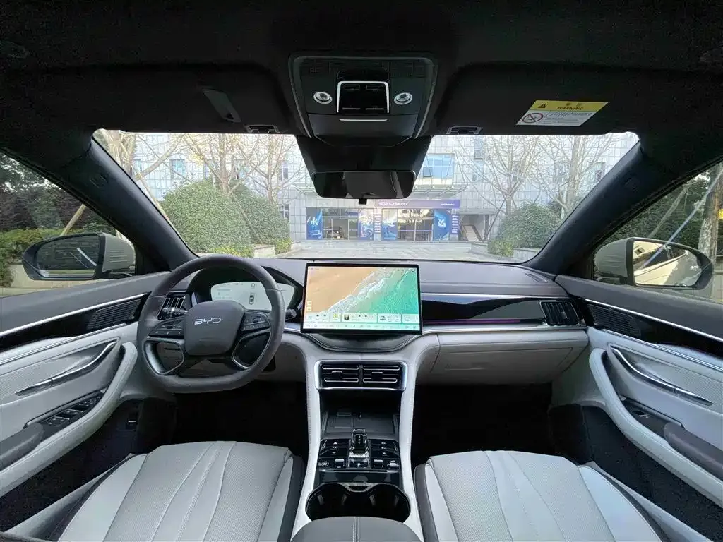 BYD PLUS New Energy 2025 из CN, фото 7