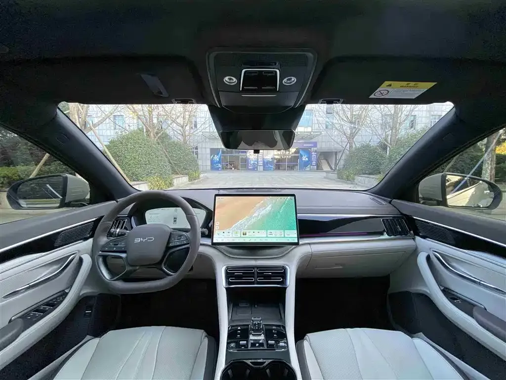 BYD PLUS New Energy 2025 из CN, фото 8