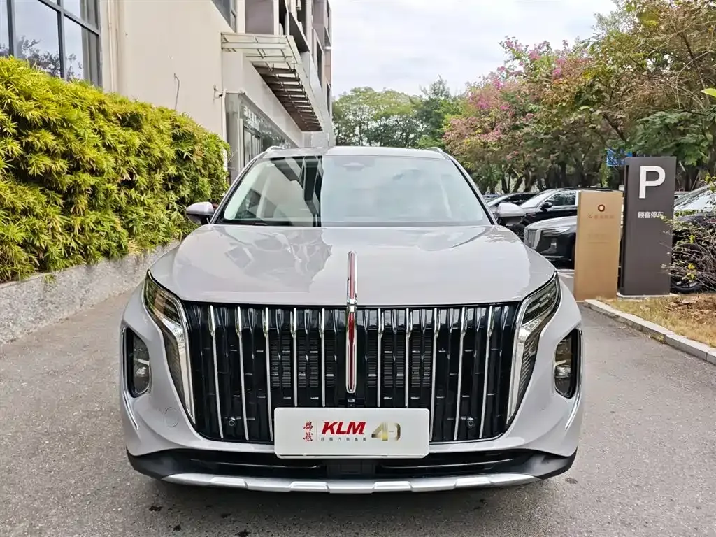 Hongqi HS7 PHEV 2025 из CN, фото 6