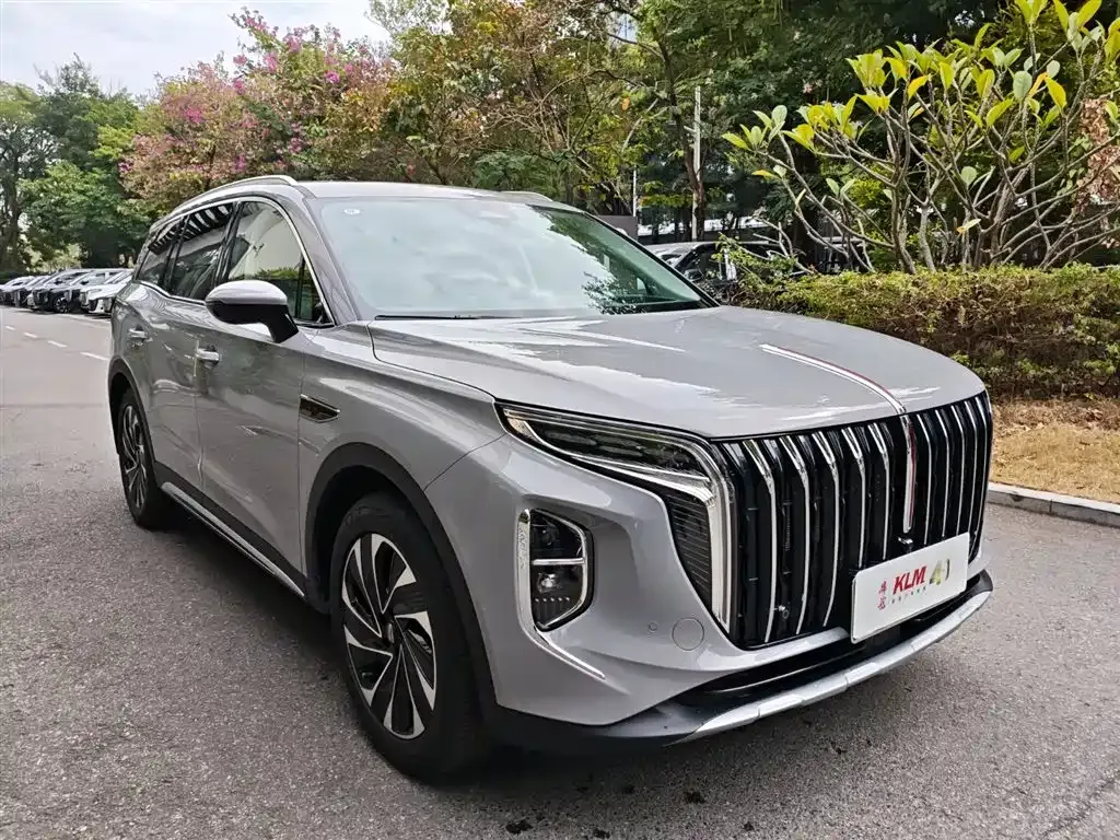 Hongqi HS7 PHEV 2025 из CN, фото 10