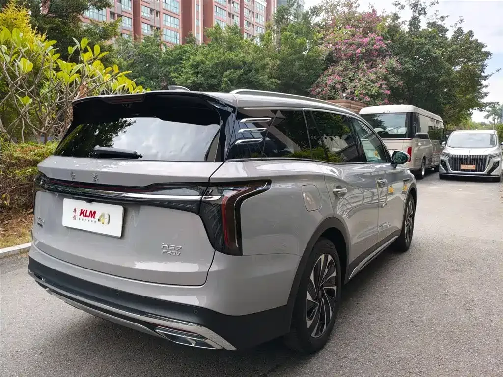 Hongqi HS7 PHEV 2025 из CN, фото 8